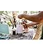 Stanley Classic Stay-Hot French Press Coffee Maker 48 oz | 5 Minute Brew, 4 Hours Hot | Mesh Filter for Coffee Grounds | Insulated Stainless Steel French Press | BPA-Free | Black 2.0