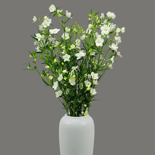 semillas de delphinium, delphinium para lugares soleados de perennes Decoración de jardín para exteriores, alfombra, cubierta perenne 100pcs