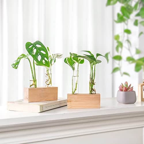 Ivolador Crystal Glass Double Test Tube Plants Terrariums In Wooden Stand Propagation Station For Hydroponic Plants Office Home Decoration #TOP5