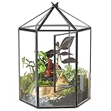 ELEGANTLIFE Glass Geometric Plant Terrarium,Succulent & Air Planter for Home Garden Office Decoration,No Plants(Black Hexagonal)