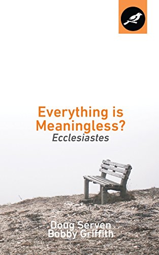 Everything Is Meaningless?: Ecclesiastes view 2