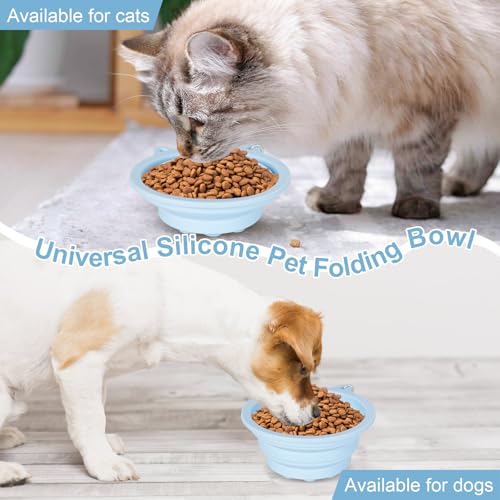Zimoer 2er-Pack Faltbare Hundenäpfe mit Saugnäpfen & Slow-Feeder, 450ml Silikon Reisenapf für kleine Hunde, tragbar mit Karabinerhaken für Outdoor-Aktivitäten