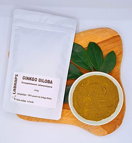 GINGKO BILOBA POUDRE - 250G - complément alimentaire