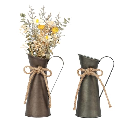 2 Pack Vintage Metal Milk Jug Vase Decor, Shabby...