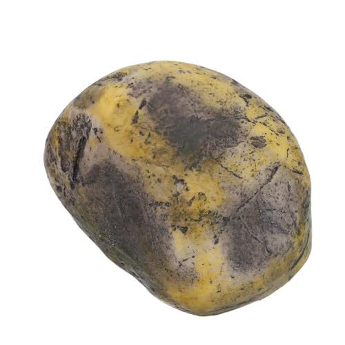 Alipis Nyckelbox för utomhusbruk: Göm en nyckel utomhus i - Säker för trädgården eller gården, Geocaching - Tillbehör till konstgjord och trädgårdshus