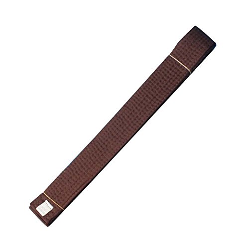 Alien Storehouse 260 cm / 102,36 Pouces Rang Arts Martiaux Taekwondo Hapkido Karaté Ceinture - Marron Cover
