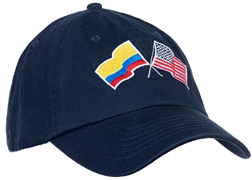 Image of Ann Arbor T-shirt Co. American Friendship Nations Flag Baseball Low Profile Dad Hat for Men Women