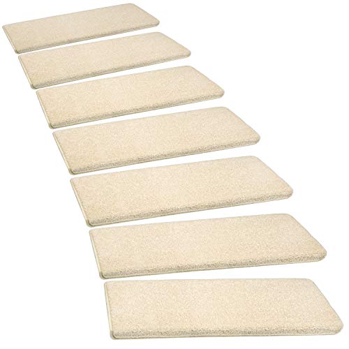 Best Carpet Protector For Pets