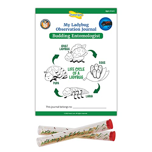 Insect Lore Two Tubes of Ladybug Larvae with STEM Activity Journal - Raise Observe and Release Pink Spotted Ladybugs - Grown in The USA - Ladybug Kit Refill