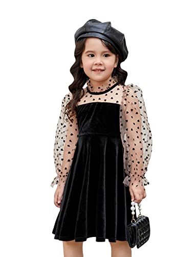 WDIRARA Toddler Girl's Heart Print Sheer Mesh Long Sleeve Frill Mock Neck Swing Mini Dress