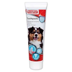 Beaphar | Advanced Dual-Enzyme Toothpaste | Dental Care for Dogs & Cats | Helps Prevent Bad Breath & Combat Plaque…