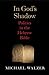 In God's Shadow: Politics in the Hebrew Bible