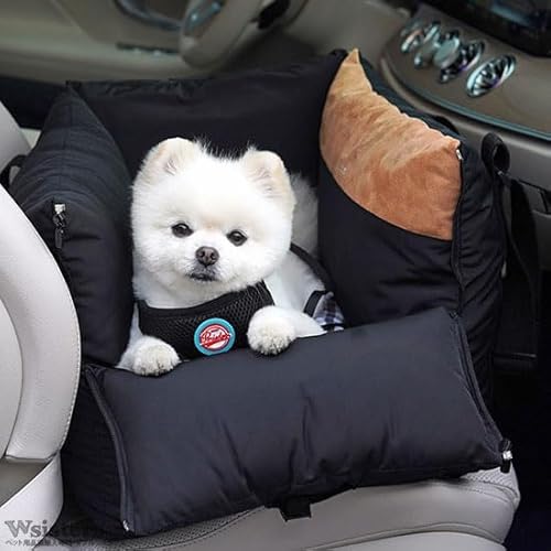 oc  hCuxbh hCu{bNX  V[g p AEghA J[V[g ybg o ParisDog pXhbO Ki yPDI[fChCuxbhEVOz(ubN)