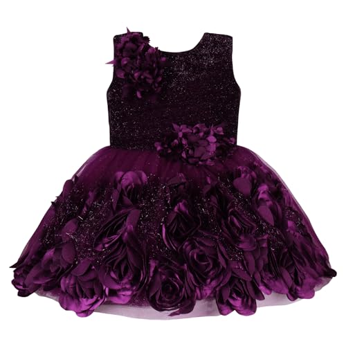 Image of Wish Karo Baby Girls Knee Length Net Solid Party Dress (bxap245)