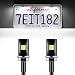 LivTee Super Bright 12V Waterproof Tag Screw Bolt License Plate LED Lights Holder Legal for Car Motorcycle Truck RV ATV Bike, Xenon White(2PCS)