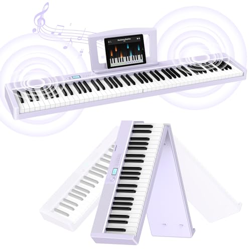 Teclados Piano Prosional Marca TERENCE