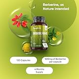 Berberine Supplement - 500mg per Capsule - 4 Months Supply - 120 Capsules - Berberine HCL Form - 1 per Day - Vegan-Friendly & Non-GMO - Sourced from Berberis Vulgaris - Image 2
