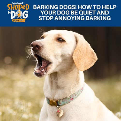 Barking Dogs! How To Help Your Dog Be Quiet And Stop Annoying Barking #239 Podcast Por  arte de portada