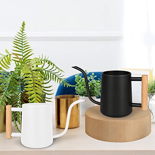 Image of Watering Can Indoor Plants, 35 oz /1000 ml Metal Stainless Steel Watering Can Pot with Long Spout for Indoor House Plants Bonsai Outdoor Garden Flower Decorative (White)
