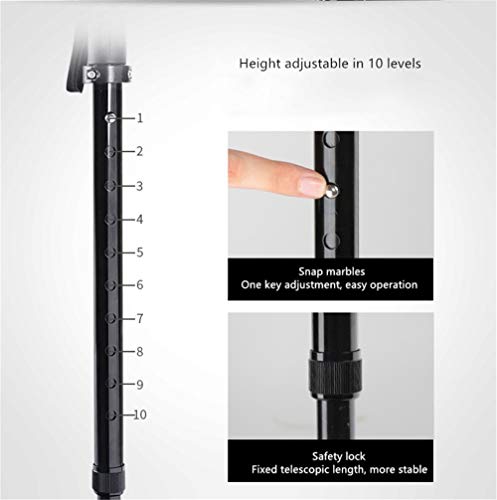 Bastone da Passeggio con Impugnatura Laterale e