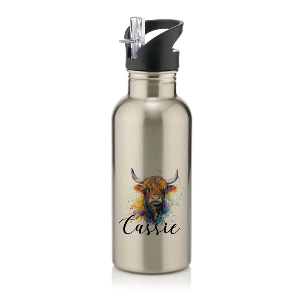 Personalised Colorful Highland Cow custom name gift for kids,Stainless Steel 600ml Water Bottle with Straw. (Silver)