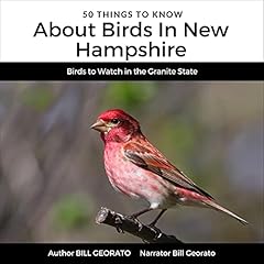 50 Things to Know About Birds in New Hampshire: Birds to Watch in the Granite State Titelbild
