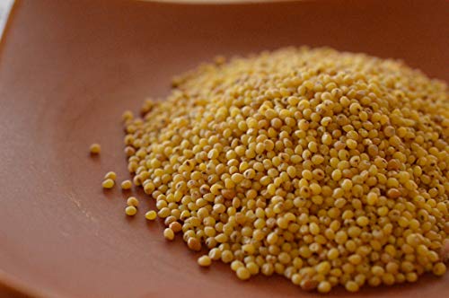 Ikshvaku Organics Proso Millet | Chena | Broomcorn | Natural Indian Farm Products From Karnataka | One Pack #TOP1