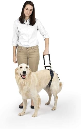 PetSafe CareLift Rear Support Harness - Lifting Aid with Handle and Shoulder Strap - Great for Pet Mobility and Older Dogs - Comfortable Breathable PetSafe CareLift Rear Support Harness - Lifting Aid with Handle and Shoulder Strap - Great for Pet Mobility and Older Dogs - Comfortable Breathable