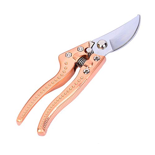 Cesoie di potatura Giardino Forbici innesto strumento Fruit Tree Cesoie Bonsai Pruners giardino cesoie da giardinaggio Cesoie Facile Pruners .Per il giardino, gli alberi, i cantieri, il parco