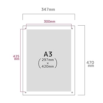 Amazon.co.jp: オリエンタライズ ピクチャーフレーム (A3サイズ
