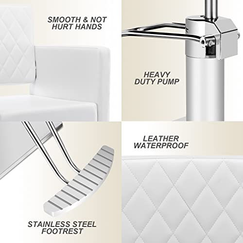 Paddie Hair Salon Chair, Height Adjustable Hydraulic Chair Beauty 360 Degrees Rolling Swivel Hair Salon Equipment For Hair Stylist Women Man (White2) #TOP5