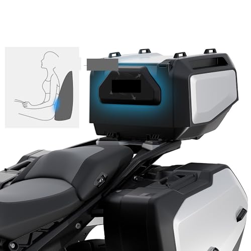 Coussins de dossier confortables pour moto R1300GS support