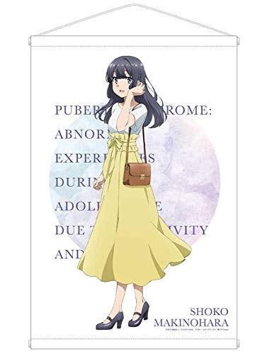 Amazon.co.jp: 牧之原翔子 B2タペストリー 青ブタ 私服 : おもちゃ