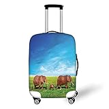 bluegrass music radio stations Fashion Design & Vivid HD digital printing: Bring to you incredible visual impact. - Not only Bring to you a good traveling mood, But also easy to find out your luggage after aircraft landing.