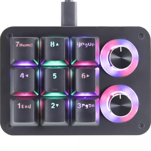 One Handed Programmable Mechanical Keyboard 9 Keys Macro Number Pad Keyboard Drive Free RGB LED Backlight USB Portable Keyboard with 2 Knobs OEM Red Shaft Switch Portable PC Gaming Keypad Accessories -  Yoqanr, aSP0002-hong-9jian-hei