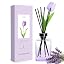 French Juniper & Lavender