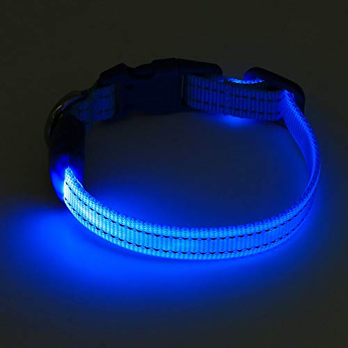 Bseen Light Up Puppy Collar - Rechargeable Led Dog Collar - Glowing Cat Collars - Reflective Lighted Dog Collar For Small Dogs& Cats (Blue, Xs) #TOP4