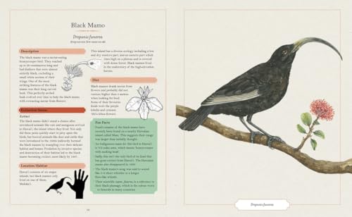 Image of The Illustrated Encyclopaedia of Extinct Animals