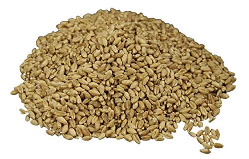 Hard White Wheat Berries : Wheatland™ : 25 Lb Bulk: Emergency Preparedness : Mylar : Oxygen Absorber : 30 Year Shelf Life : Non Gmo: No Glyphosate : Long Term Food Storage #TOP6
