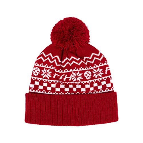 FASTHOUSE Youth Ralphie Beanie (Red, One Size)3