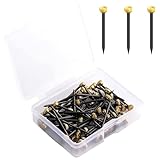 真鍮の釘 丸い頭部 真鍮の釘 装飾的