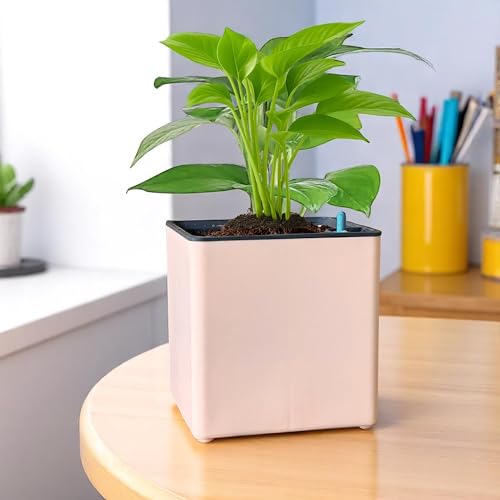 Image of Indian Discovery Self Watering Tabletop Planter| Flower Pots for Home, Terrace, Balcony, Vertical Garden Decor Flower Pots(1 PC, Peach, Square) |6 Inch UV-Resistant Plastic Plant Pots