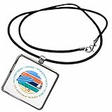 3dRose Necklace With Rectangle Pendant - American beaches - 31st Street Beach, Chicago, Illinois travel gift Alexis Design - American Beaches Illinois