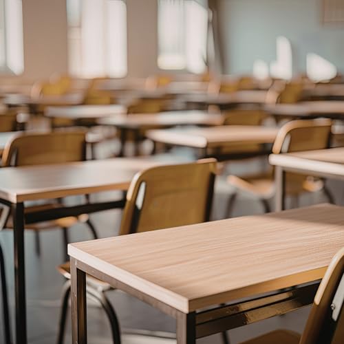 2.2 Das Attribut Schule