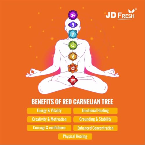 Image of JD FRESH Certified Red Carnelian Crystal Tree for Motivation /Creativity /Confidence /Natural Gemstone Healing Tree for Positive Energy /Courage /Success /300 Beads Stone Bonsai Feng Shui Home Decor Gift
