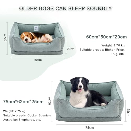 LilyAbeille Hundebett, Katzenbett, Orthopädische Hundebetten Waschbar für Kleine Hunde, Abnehmbar, Flauschig, Bissfest Hundekorb Hundesofa Katzenkorb (60 * 50 * 20 cm, Grün)