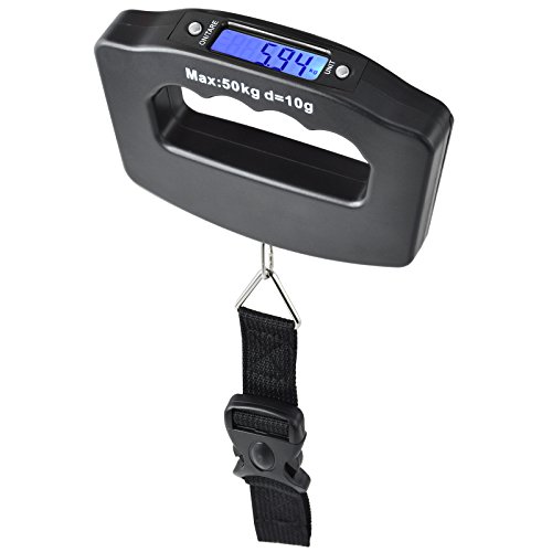Top 10 Luggage Scale Cvs of 2022 Best Reviews Guide