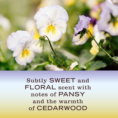 MRS. MEYER'S CLEAN DAY Hand Soap, Made with Essential Oils, Compassion Flower, 12.5 fl. oz - Pack Of 3 image 5