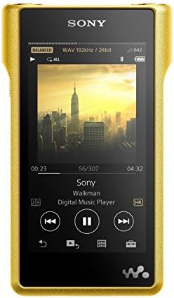 Amazon.co.jp: SONY デジタルオーディオプレーヤー ウォークマン WM1 