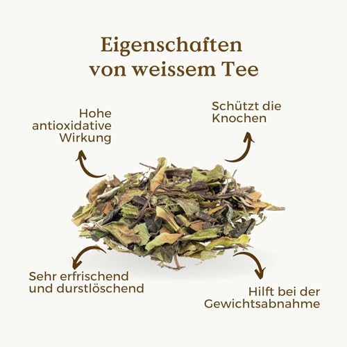 WEIßER TEE Pai Mu Tan Bio 50g | Bai Mu Dan Weisser Tee REPLANTEA®